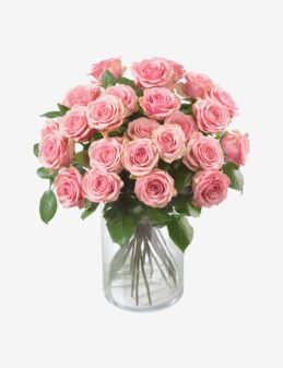 Gift Flowers Alicante- Long Stem Red Roses